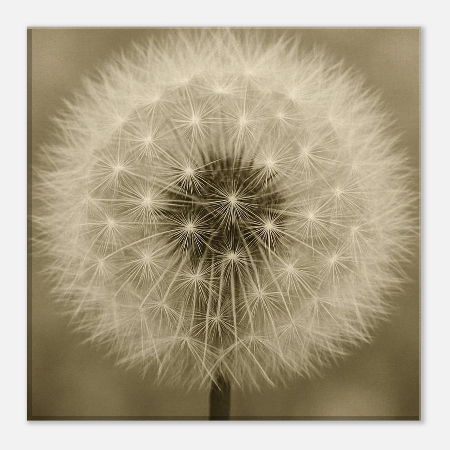 893fe5df-8997-4a33-9559-3a83d8c843e1