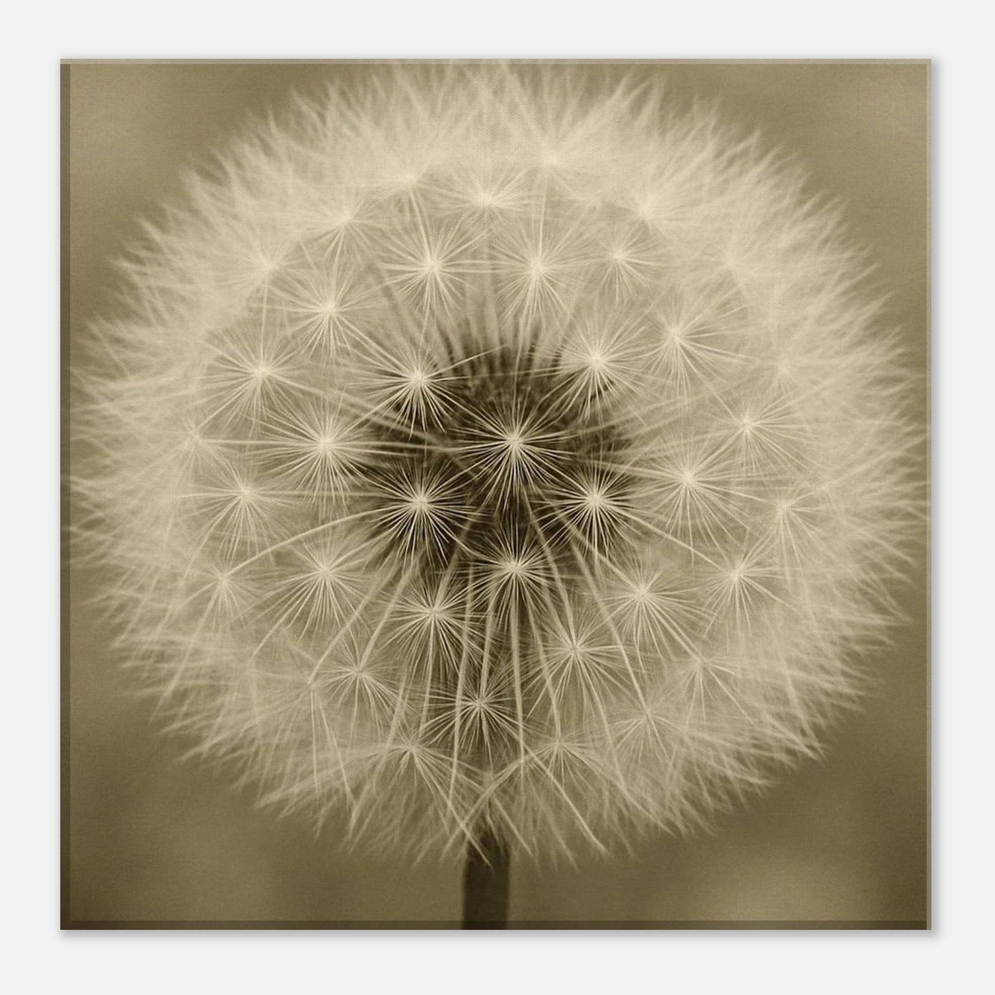 893fe5df-8997-4a33-9559-3a83d8c843e1