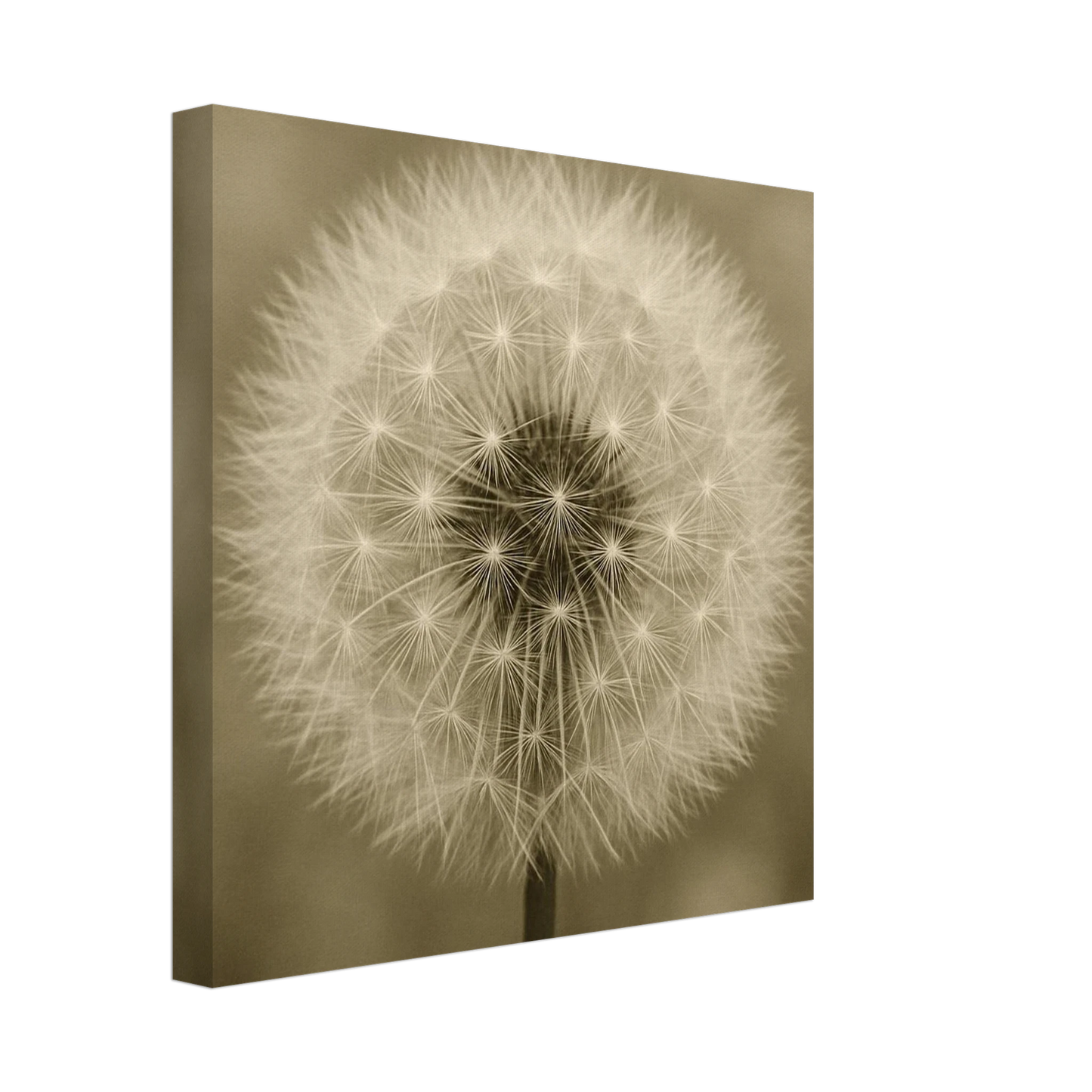 a6f40560-ae2b-4187-923d-c95c5546f45d