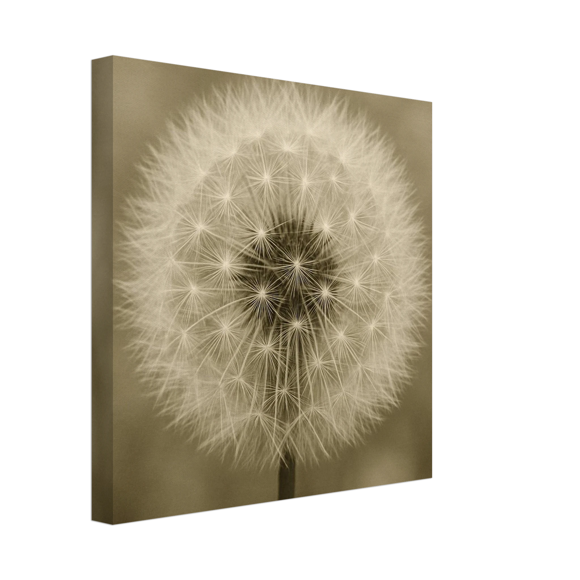 a6f40560-ae2b-4187-923d-c95c5546f45d