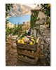 Limoni di Amalfi
