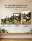 Sport der Könige